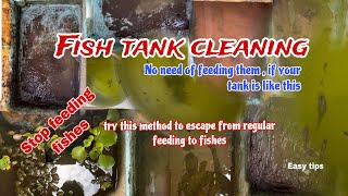 Fish tank cleaning | try this method to escape from regular feeding to fishes | stop feeding them