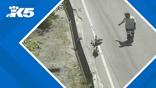 WSDOT cameras capture moments tow truck driver tries to corral geese off road