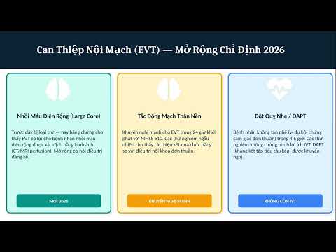 Guidelines 2026 về Đột quỵ — Điểm mới