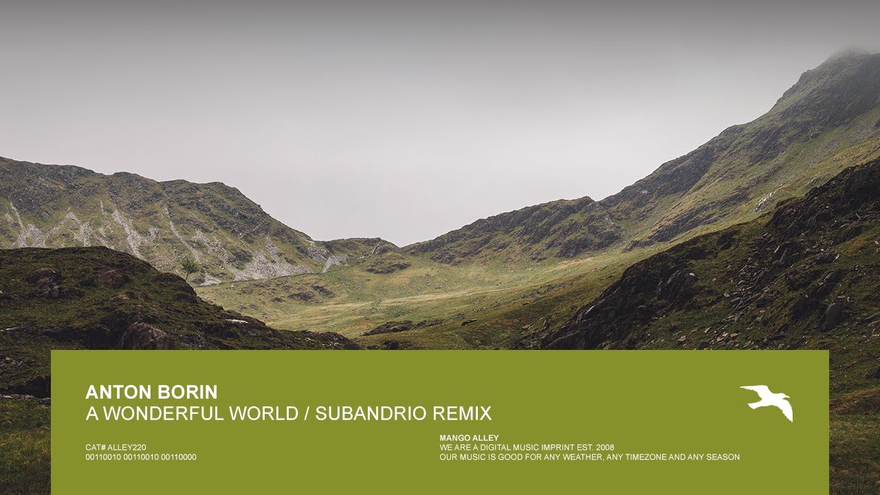 ANTON BORIN A Wonderful World (Subandrio Remix)