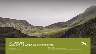 ANTON BORIN A Wonderful World (Subandrio Remix)