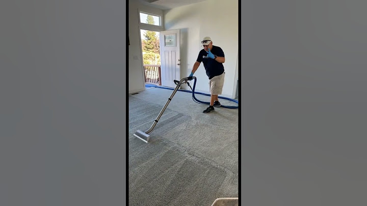 Steam Carpet Cleaning