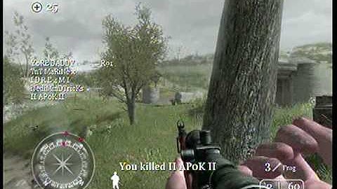 Hii im ShaGGy COD2 Montage