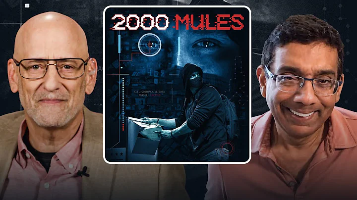 Does Dinesh D'Souza's 2000 Mules Prove Its Case About Voter Fraud?