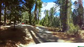 Crane Flat Campground Yosemite National Park - 360 Video Virtual Tour 4K