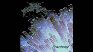 Bone Fragments - Moonstone