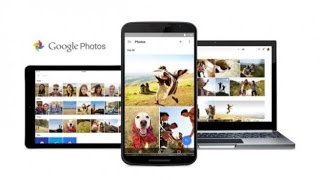 The New Google Photos App : Demostration of Search feature screenshot 4