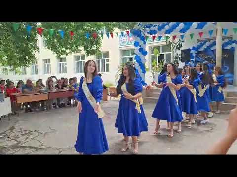 Habibi Dance - Son zəng 2024 🩷