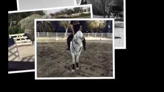Dhahran Arabian Horse Association  SD 480p