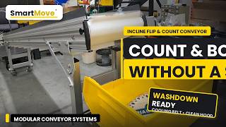 Incline Flip & Count Conveyor | Count & Box Without a Scale | SmartMove®