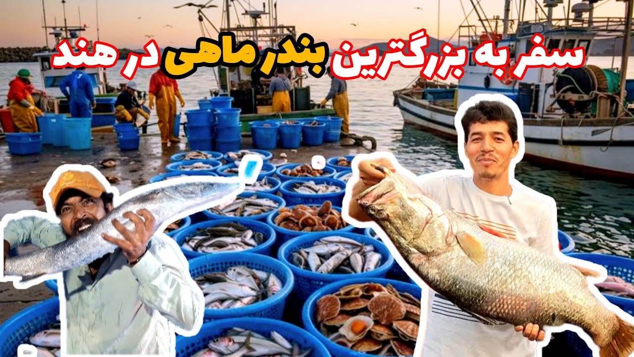 بزرگترین بندر ماهیگران در جنوب هند🇮🇳/تا حال داخل یخچال کشتی ماهیگران دیده بودین؟
