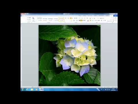 מדריך: כיצד להדפיס תמונת רקע ב-Word 2010