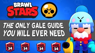 Celebrity The Only Gale Guide You Will Ever Need | Guide (2024) Profile