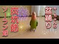 キーちゃんの盆踊り