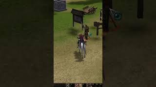 Metin2 Was Bringt Es Sein Pferd Zu Steigern?