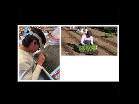 CarlosPerez_VideoResume