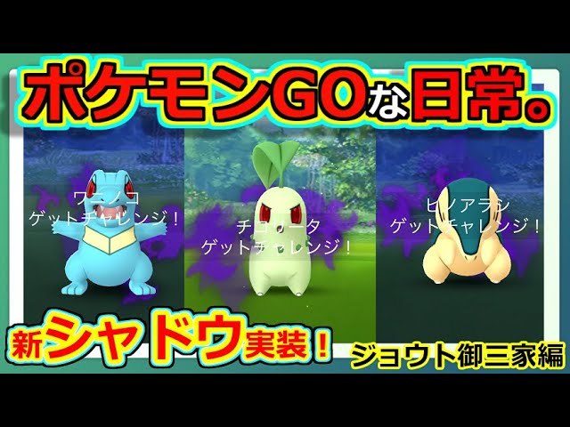 ポケモンgoな日常 新シャドウ チコリータ ヒノアラシ ジョウト御三家編 ポケモンgo Youtube