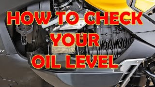 Canam Ryker Rally (How To Properly Check Your Oil Level)