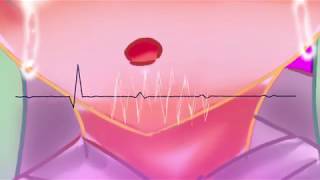【初音ミク】忘れられた傘の悲嘆 【PV付オリジナル】