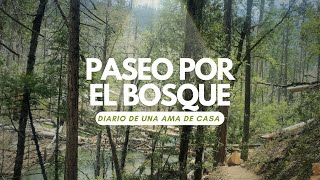 Excursionando juntos por algún bosque del mundo | Diario de una ama de casa