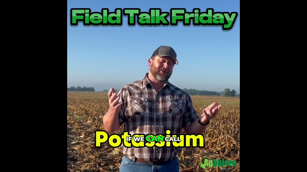 Potassium Prices Are Better—But ROI Still Depends on Uptake. Here’s How to Get It Right