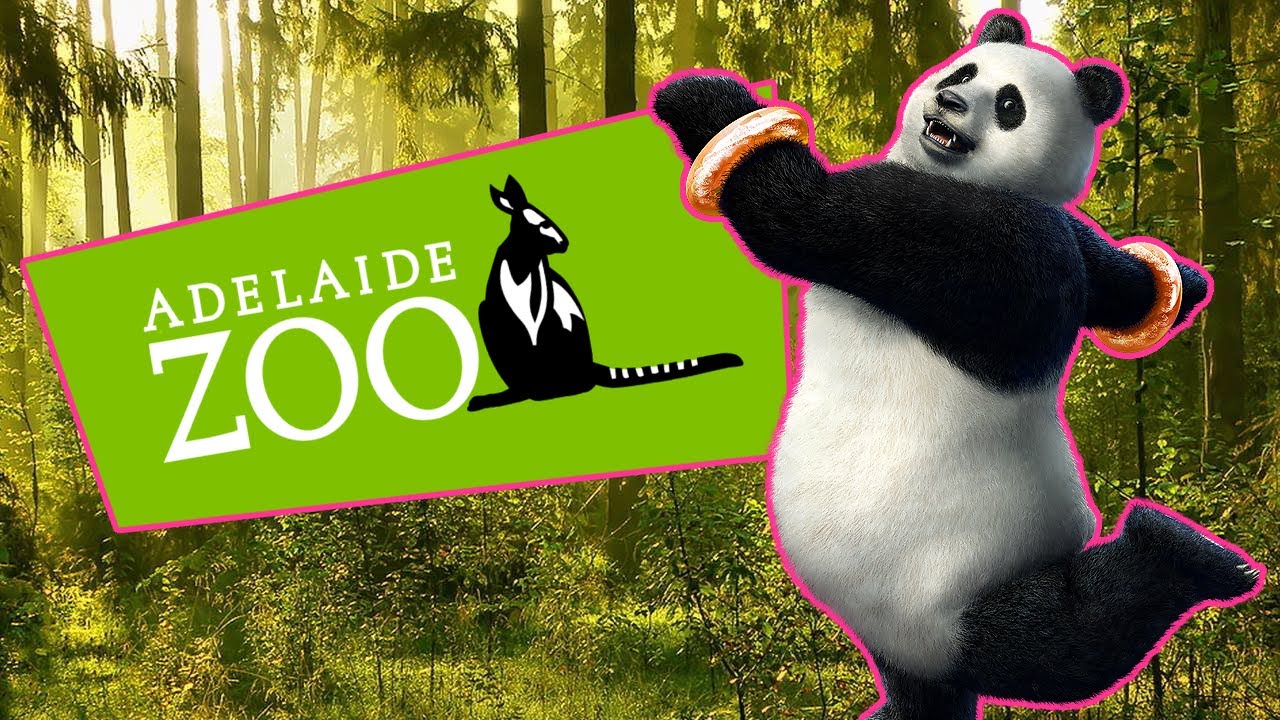 Valentine's Day at Adelaide Zoo YouTube