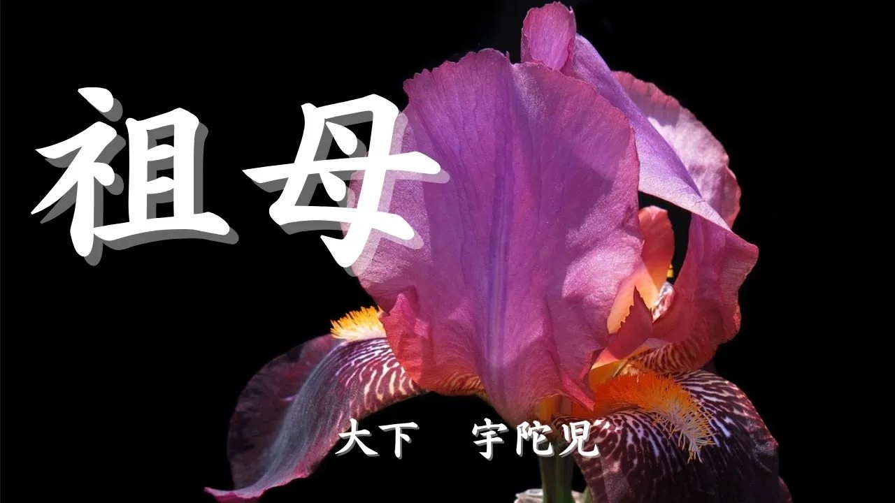 日本文学の朗読大下宇陀児祖母喜寿を迎える母の祝いの席をめぐって浮かび上がる謎夫を亡くした後四十年間母には心に秘めたものがあったのだった