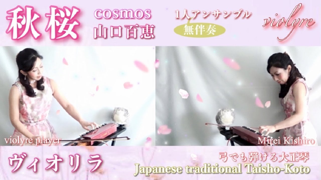 【原曲キーで秋桜（さだまさし）/ヴィオリラ1人二重奏】弓でも弾ける大正琴~ Japanese Traditional TaishoｰKoto- violyre cover