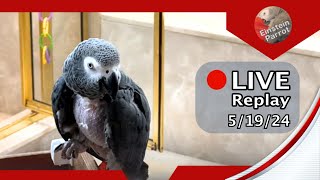 Einstein Parrot LIVE! 5/19/2024