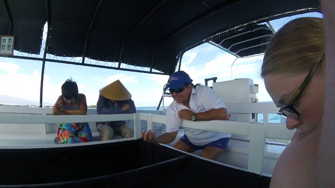 Glass Bottom Boat Hawaii 2 YouTube