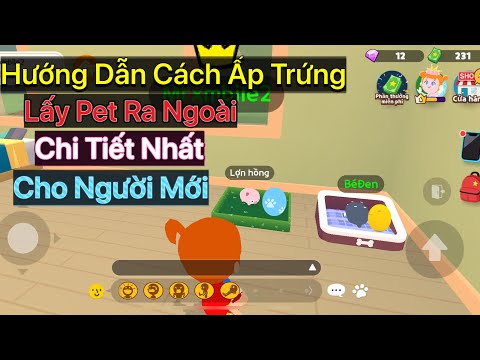 Video: Làm thế nào để phản ứng với một con vật cưng mang đến một con vật chết