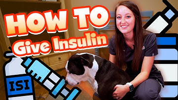 How To Administer INSULIN To Your Pet