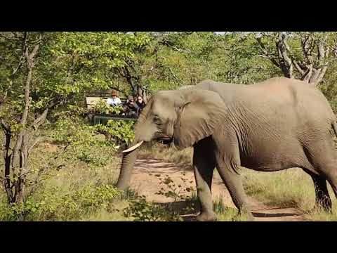 Shindzela Tented Camp