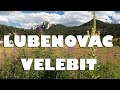 Lubenovac na Velebitu