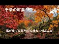 千条の紅葉　（ふわふわミュージック）