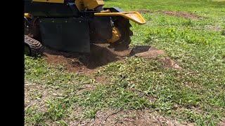 SMALL STUMPS REMOVED WITH EASE