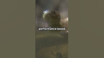 The Cobra Effect: When Solutions Backfire