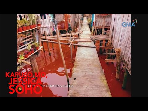 Video: Ang dagat sa Bali