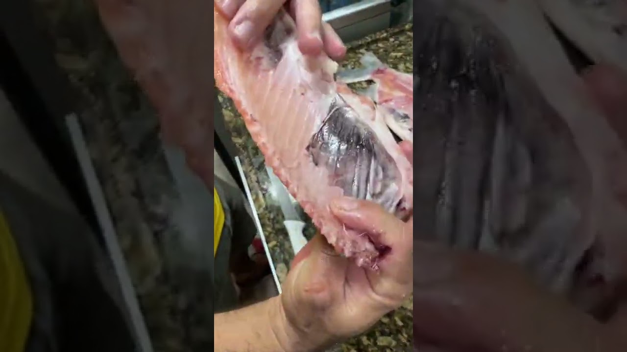 Como cortar um peixe curimatã, de maneira que dá menos espinhos…