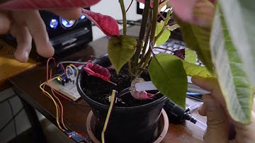 Sistema de irrigação IoT com Arduino v1