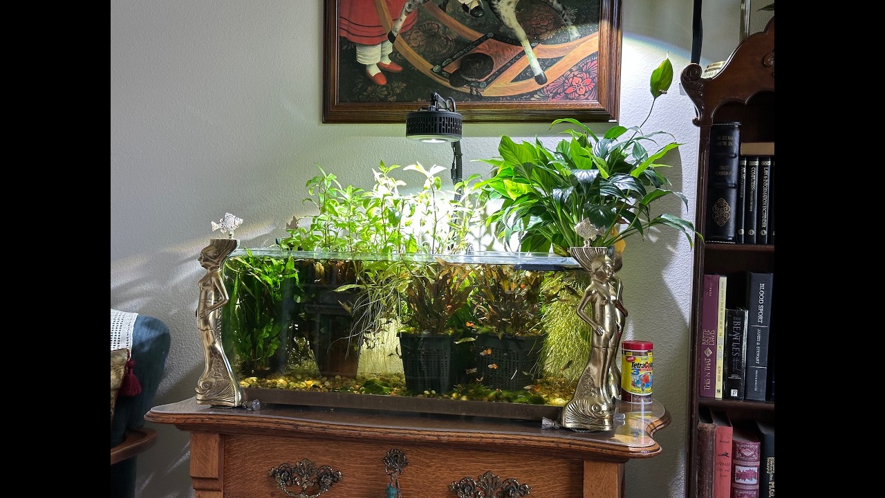 Incredible plant growth in less than 30 days without CO2.