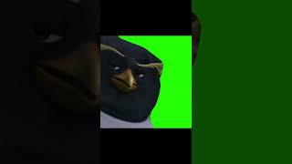 Surfs Up Can I Get In Line Green Screen