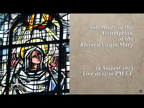 Video: Cathedral of Assumption of the Blessed Virgin Mary (Bazylika katedralna Wniebowziecia Najswietszej Maryi Panny) piav qhia thiab duab - Poland: Kielce