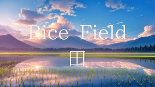 Serene Rice Field: A Zen-Inspired Flute Journey for Tranquility and Focus