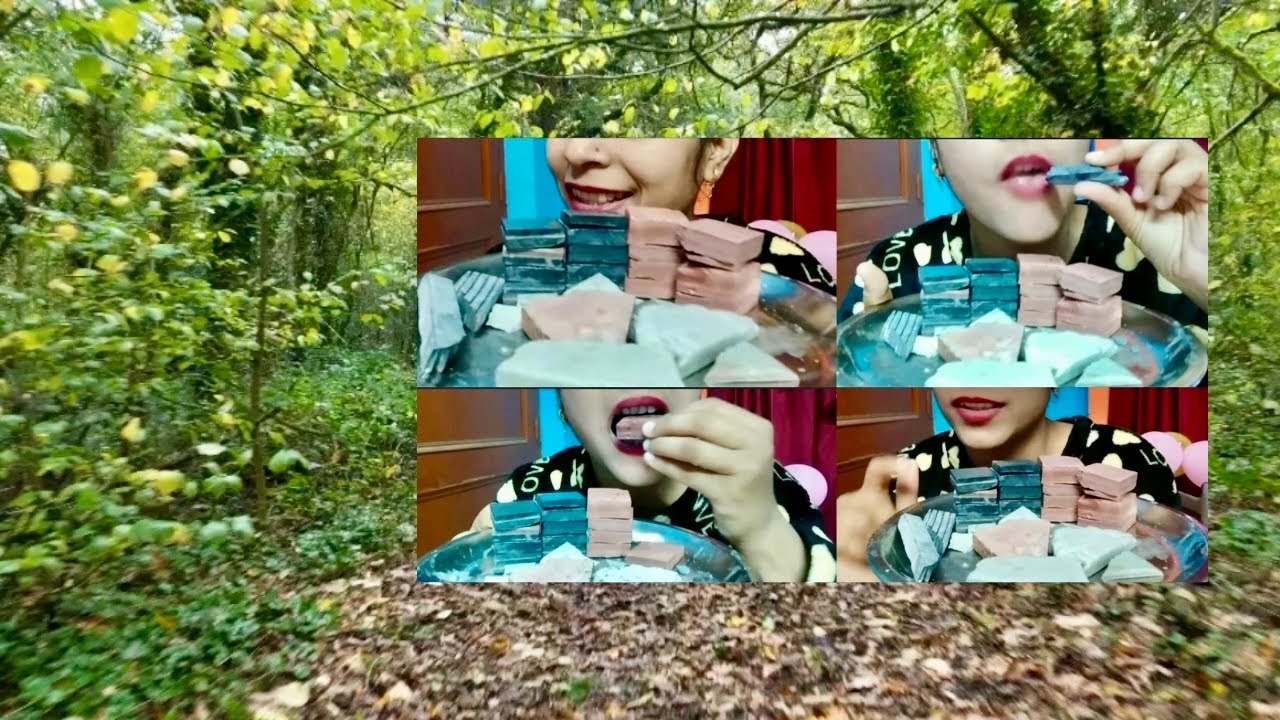 Tranquil Forest Pathway in Lush Greenery