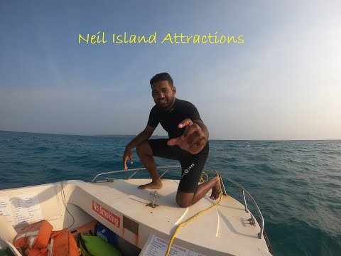 Neil Island (Shaheed Dweep) Travel Vlog