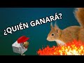 👀 Ardillas vs Pollos | El video más extraño del canal