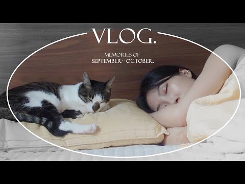 죽은 외장하드에서 살린 VLOG ✸ 운동에 미친 소심한 ESFP의 일상 ✸  | 민스코 Minsco