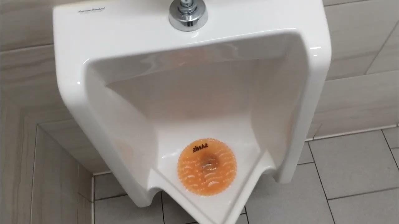 Aldi Unisex Restrooms in Vista, CA YouTube