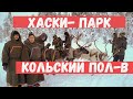 Что посмотреть в Мурманске? Хаски парк на Кольском полуострове.